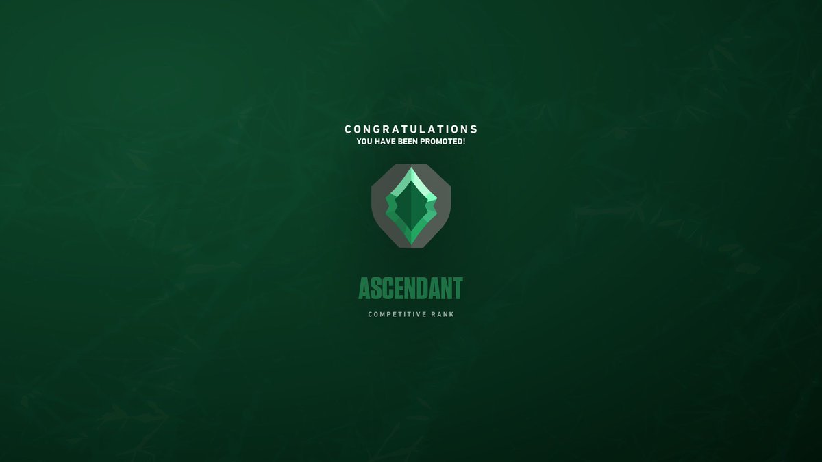 きなこ⭐︎ kinako | Xross Stars | クロススターズ