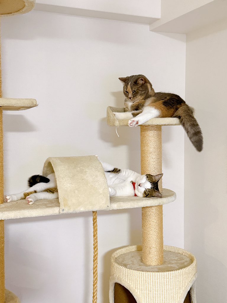 水無月 (@minaduki0217) / Posts / X