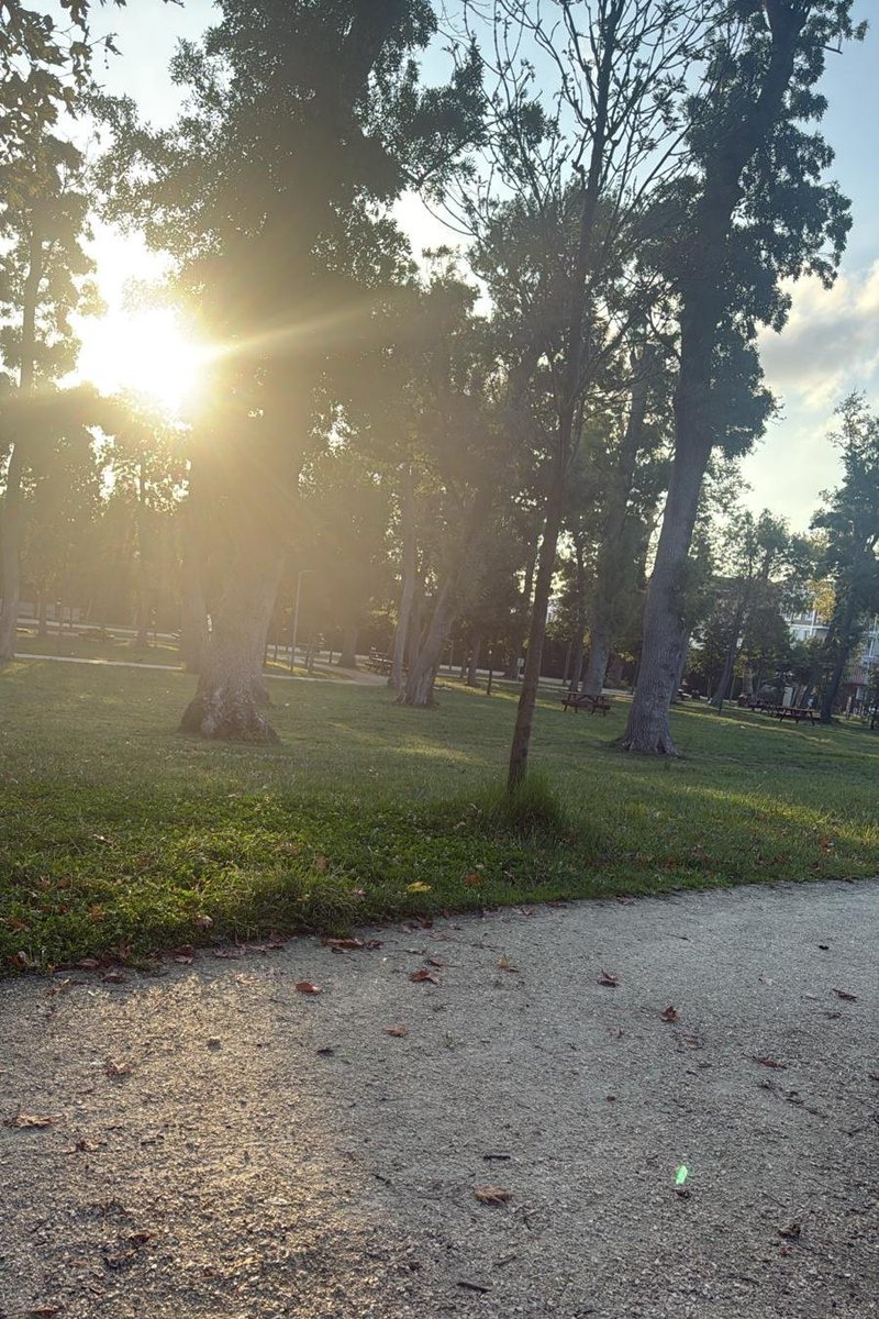 Günaydınlar herkese günümüz aydınlık yarınlara Günaydın 🌿🌿🌿🌿🌿🌿🌿🌿🙏😇💙💙🥰☕️☕️🙋🏻‍♀️