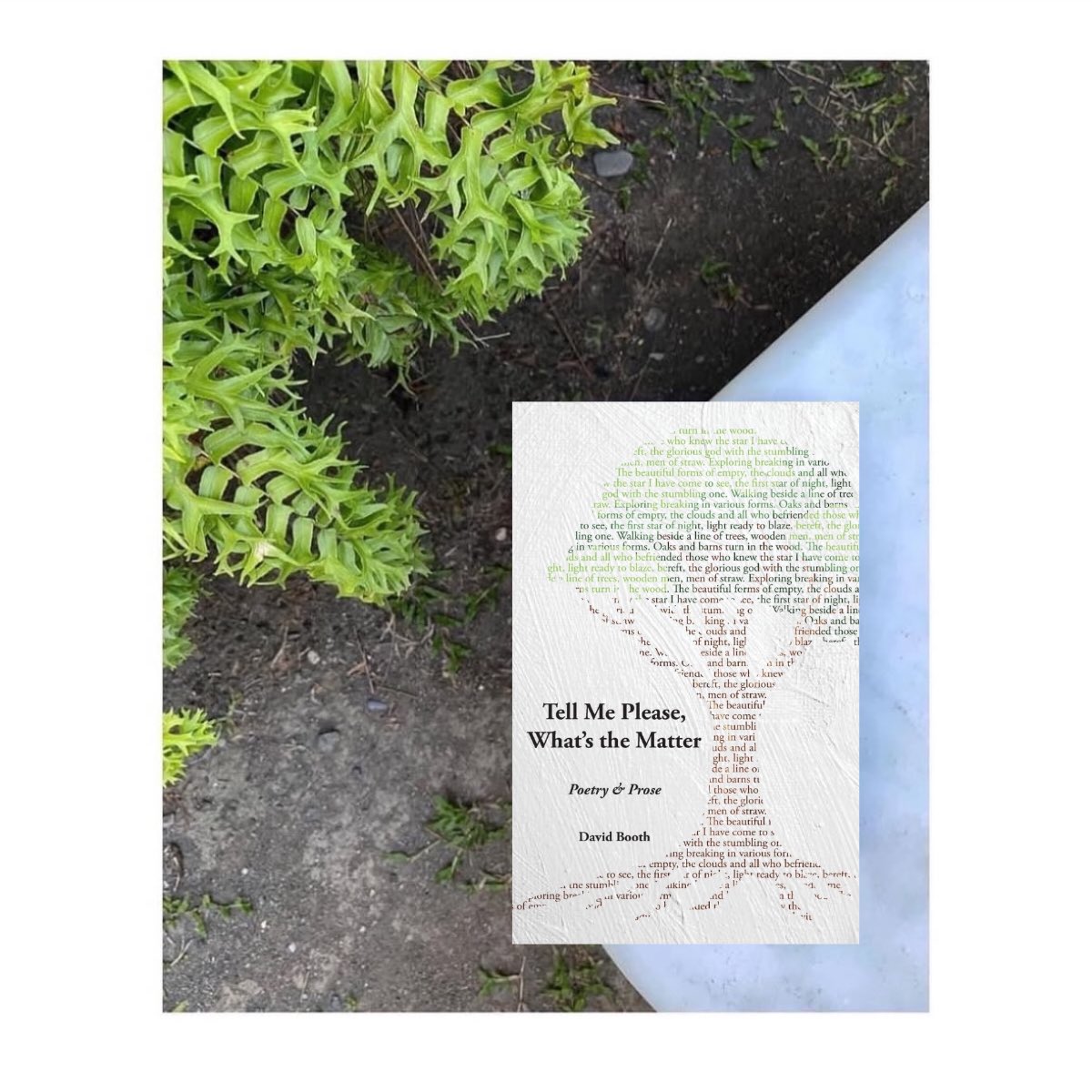 Pratibha_Tweets's tweet image. A set that blurs the lines b/w memoir, poetry, fiction &amp;amp; essay. In 114 pages, @DavidRBooth3 wrote an intimate exploration of masculinity, artistic creation &amp;amp; fragile bonds of family, all while reflecting on the cultural narratives that shape who we are in an age of uncertainty.