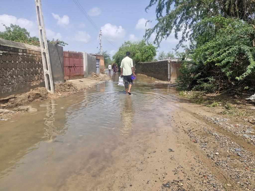 વાવ- સુઈગામ વિસ્તારમાં થયેલ અતિવૃષ્ટિ માં લોકો ને પાણીજન્ય રોગચાળો ન ફેલાય તેના માટે હાઉસ ટુ હાઉસ સર્વે કરી ક્લોરિન ની દવા આપી. સાથે મચ્છર જન્ય રોગચાળો ના થાય તેના માટે સ્લાઇડ લઈ PHC મોકલી અને એબેટ કામગીરી કરવા માં આવી. (સબસેન્ટર-ખીમાણાપાદર,વાવ,બનાસકાંઠા)