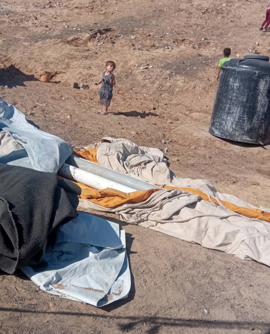 Deus Ex Machina ☆ MERA25 ☆ tweet media