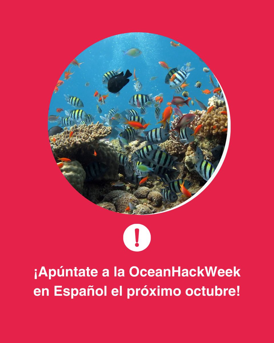 🐠 Todavía estás a tiempo para apuntarte a la OceanHackWeek en Español. Tendrá lugar los días 6 y 7 de octubre y contará con nuevos talleres de formación intermedia. 

🔗 Tienes más información en intercoonecta.aecid.es/programaci%C3%…

#AECID #OceanHackWeek #programación #cienciamarina