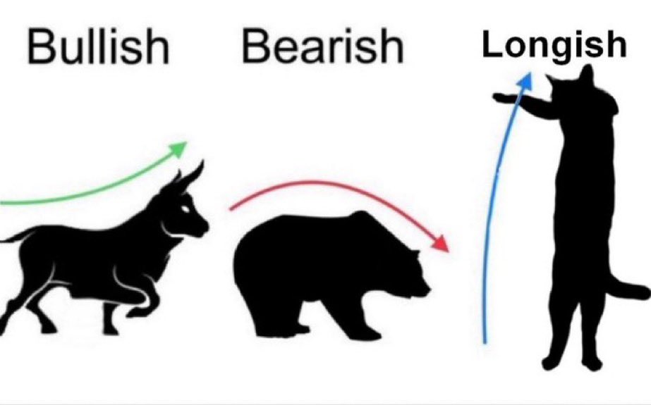 Hans | NobikoCoin $LONG (@hans4crypto) on Twitter photo <a href="/pandaa/">panda</a> Now is the time to go $LONG <a href="/pandaa/">panda</a> Now is the time to go $LONG