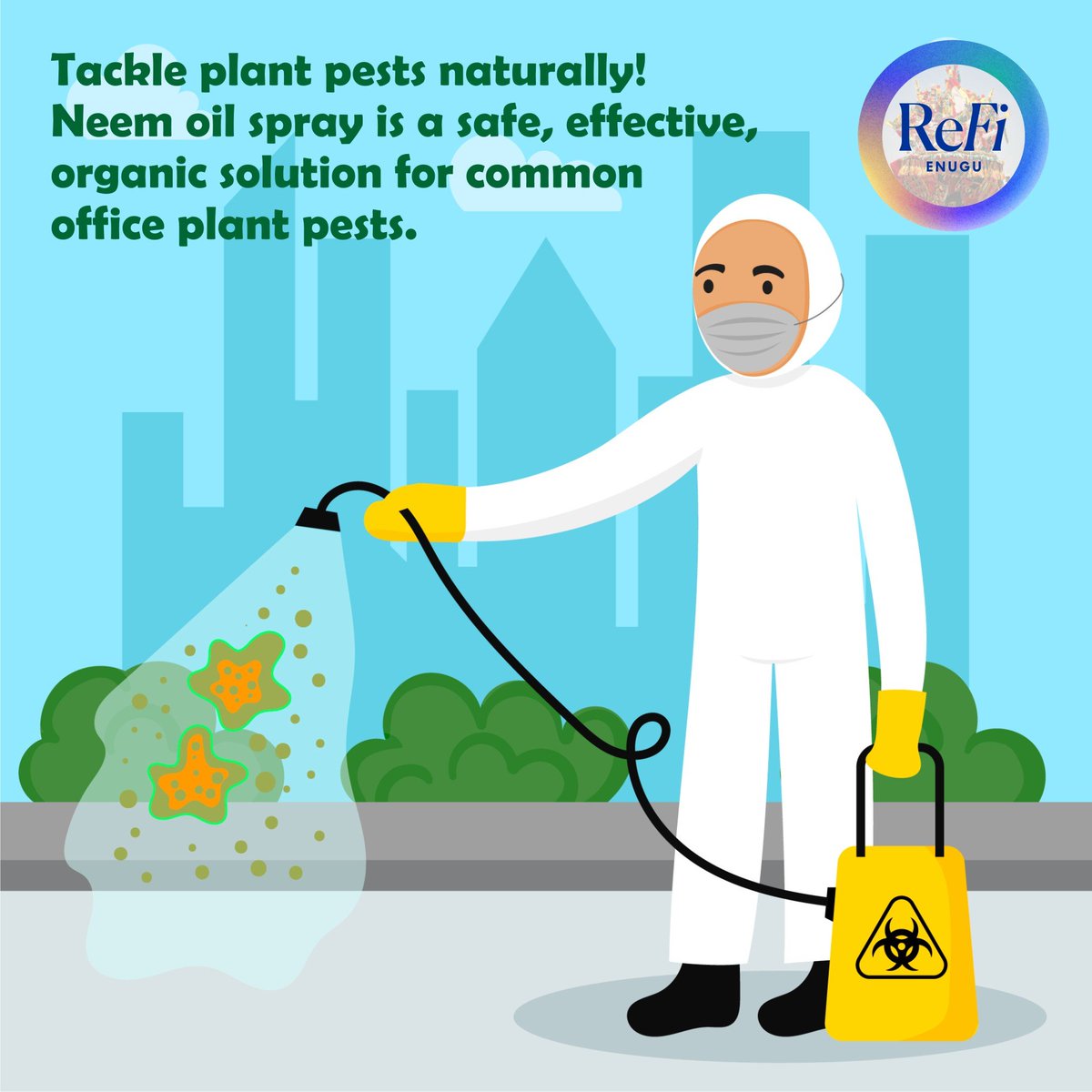 RefiEnugu's tweet image. How to manage Pest. See thread 👇👇👇
Step 1: Tackle plant pests naturally! Neem oil spray is a safe, effective, organic solution for common office plant pests.
#NaturalPestControl