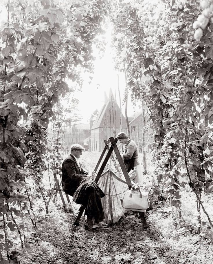 DealHopFarm tweet media