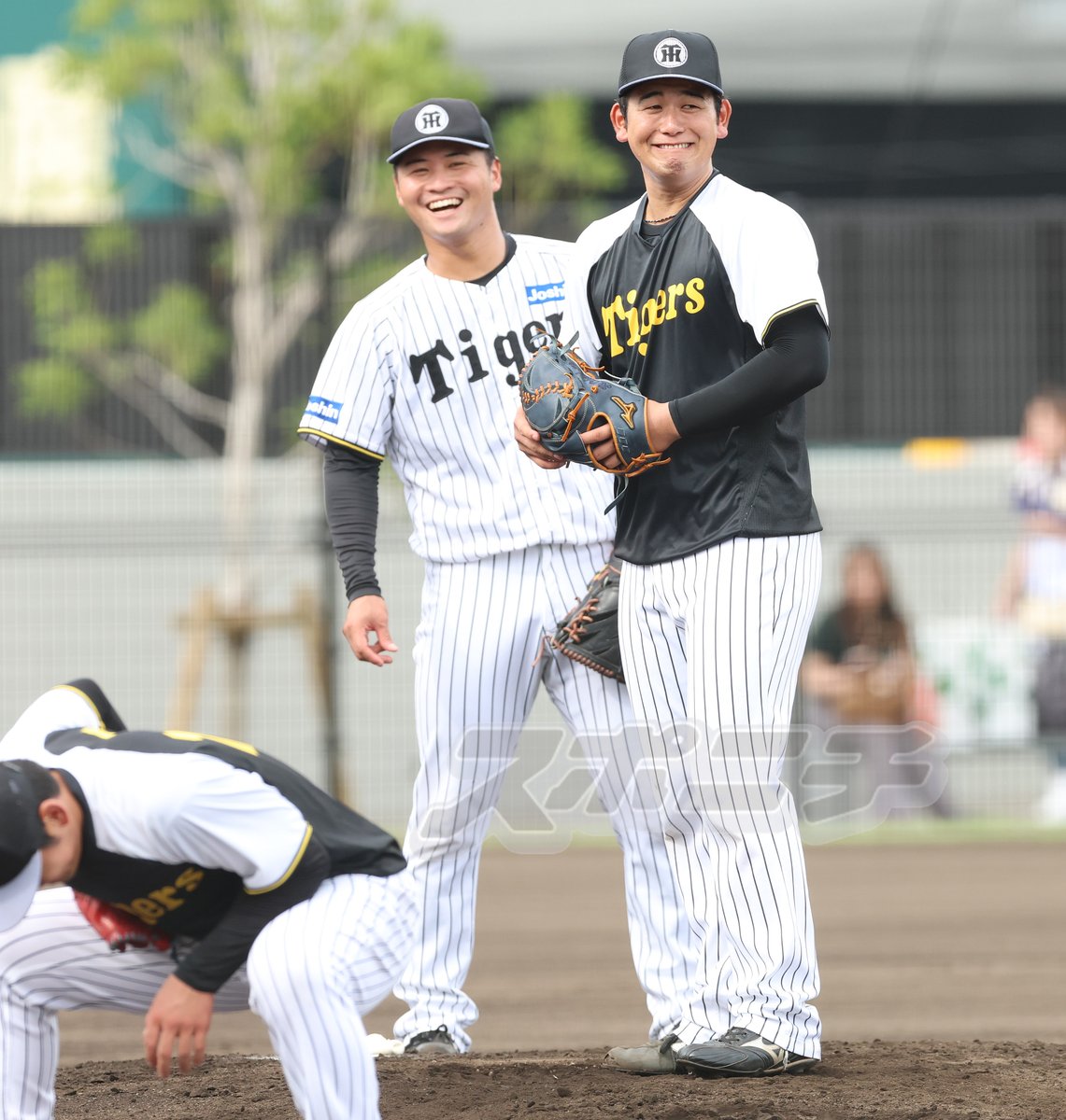 Sponichi_Tphoto's tweet photo. ウエスタン・リーグより
笑いをこらえてちょっと変な顔になってしまう #岡留英貴 選手と大爆笑の #島本浩也 選手 https://t.co/CzEnAhANeL