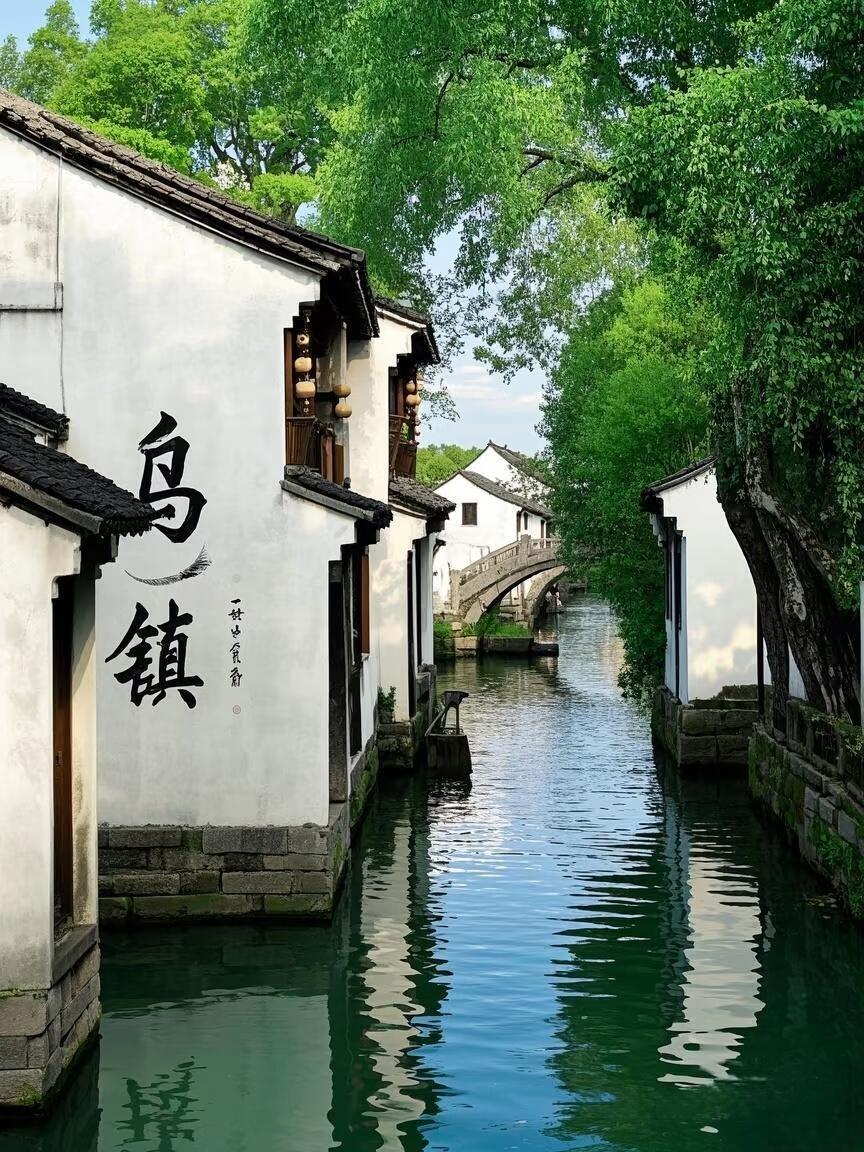 yuxiaoman6's tweet photo. 青砖抱白瓦，烟雨笼江南 #乌镇 https://t.co/WXstxPVrXR