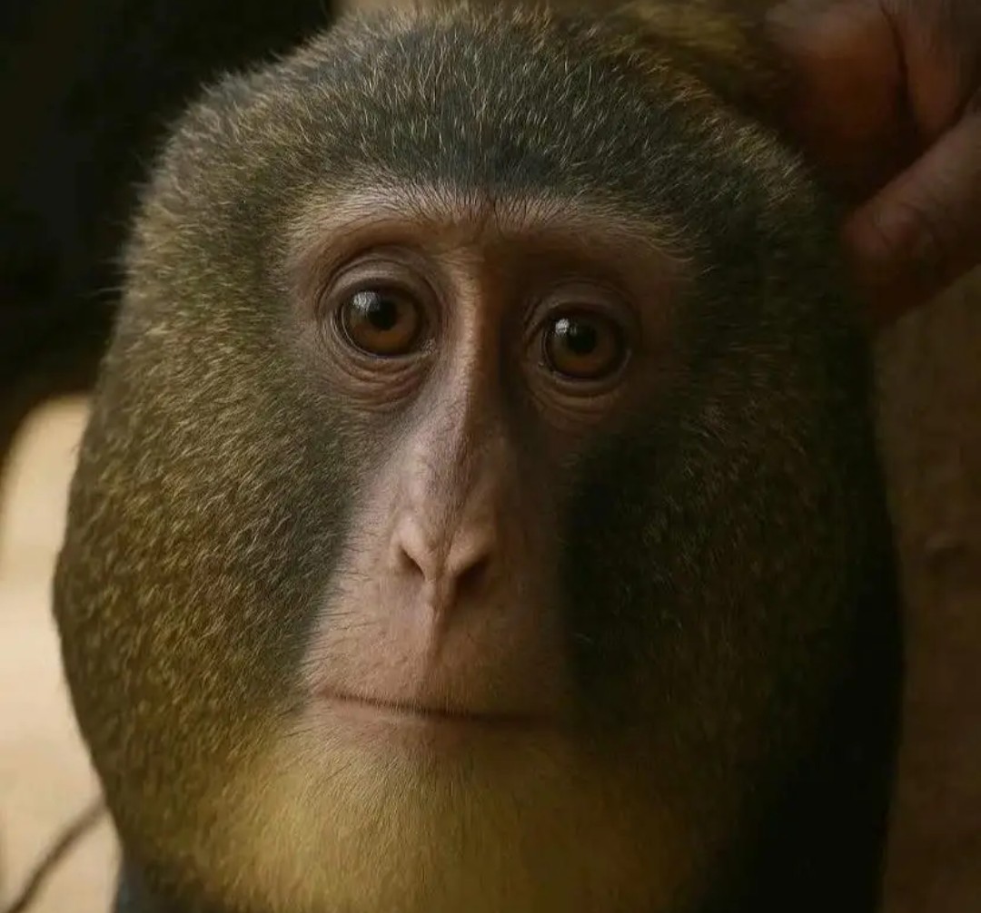 Davies😎😂 tweet media