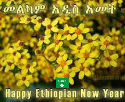 ስብስብ ለሰብዓዊ መብቶች በኢትዮጵያ ለመላው ኢትዮጵያውያን እና ለስራ አጋሮቹ እንኳን ለ2018ዓ.ም በሰላም አደረሳችሁ እያለ አዲሱ አመት የሰላም የደስታ እና የስኬት እንዲሆን ይመኛል፡፡
መልካም አዲስ አመት!