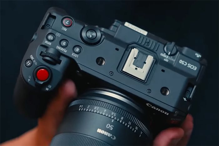 مذكر البصيص tweet media