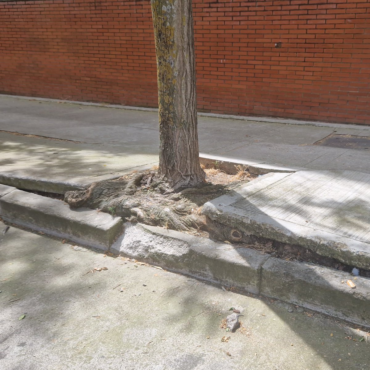 <a href="/VOX_leganes/">VOX Leganés</a> Bdías <a href="/VOX_leganes/">VOX Leganés</a>.
Podeis, por favor, detallar cuales son las cuestiones sobre los presupuestos 2026?. 
Vais a preguntar si van a presentarlos e incluir en los mismos terminar el esqueleto de la vergüenza o el proyecto de aceras de #LeganésNorteCastigado?.
Gracias por contestar