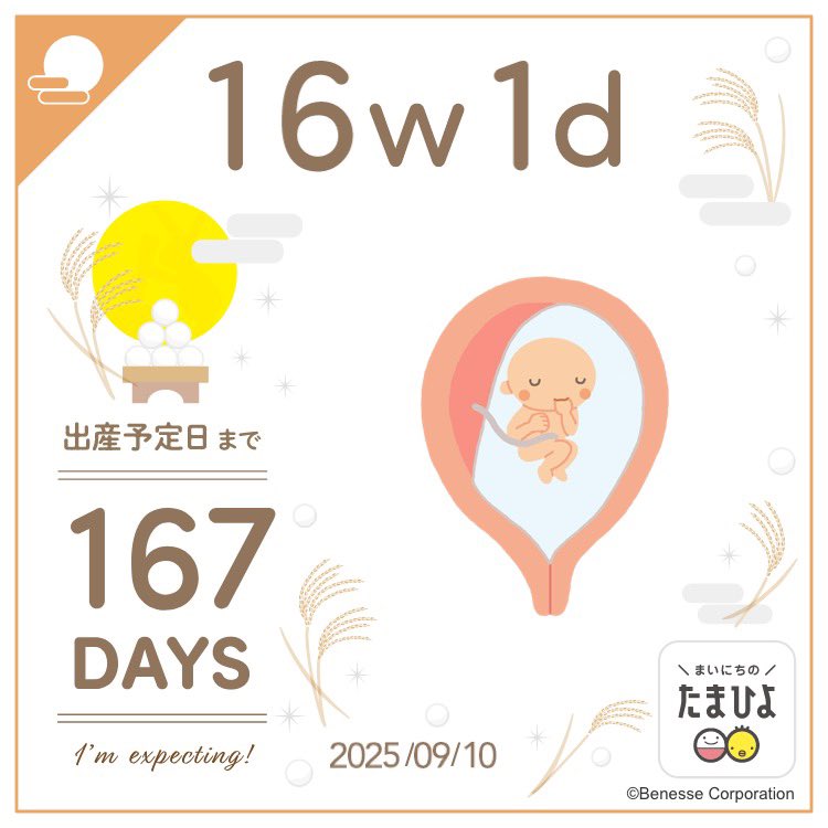 私事ではありますがこの度新しい命を授かりました👶
母になるなんて想像できないけど、頑張ります👐