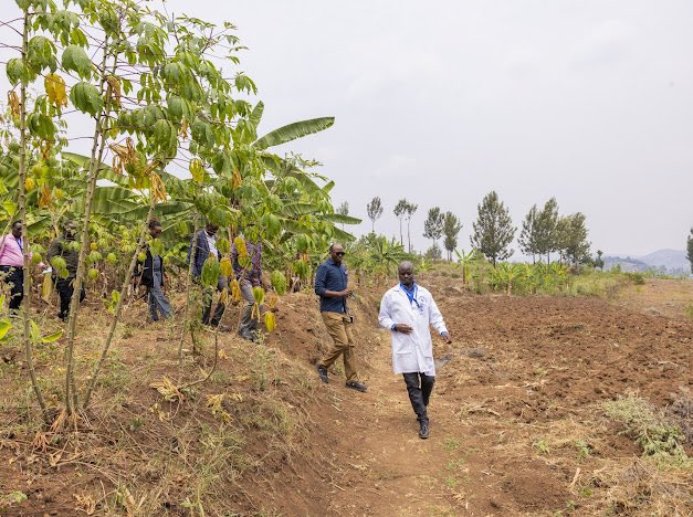 nsanzimanasabin's tweet photo. Mu murenge wa Musha @GisagaraDistr twasuye Ngirinshuti Manasseh umaze imyaka 16 ari Umujyanama w’Ubuzima.Yadusobanuriye uko avura indwara ya Malaria ikunze kwibasira aka gace.Ati”nshimishwa n’icyizere badufitiye, aho nyuze barandamutsa bati Komera Dogiteri wacu”.Natwe TURABEMERA! https://t.co/jUqZ3NTPSB