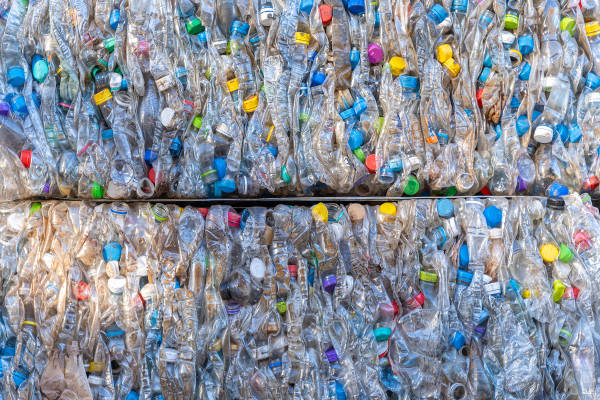 Abbiamo superato limite sostenibile della quantità di #plastica prodotta nel mondo il 5 settembre scorso.Ognuno di noi in media consuma e getta 28 chili di plastica ogni anno che rischiano seriamente di finire in #natura, nel verde, nei fiumi e nel mare wwfroma.it/aggiornamenti-…