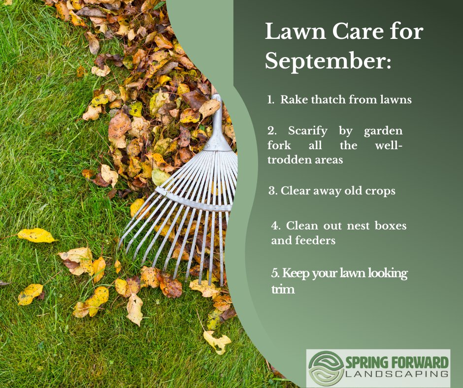 SpringForwardLS's tweet image. Wave goodbye to mowing and patchy grass! Our expert lawn care in Worcestershire keeps your turf lush, green, and flawless—year-round.
Click the link in our bio to learn more ⤴️
#WorcesterhireHour
