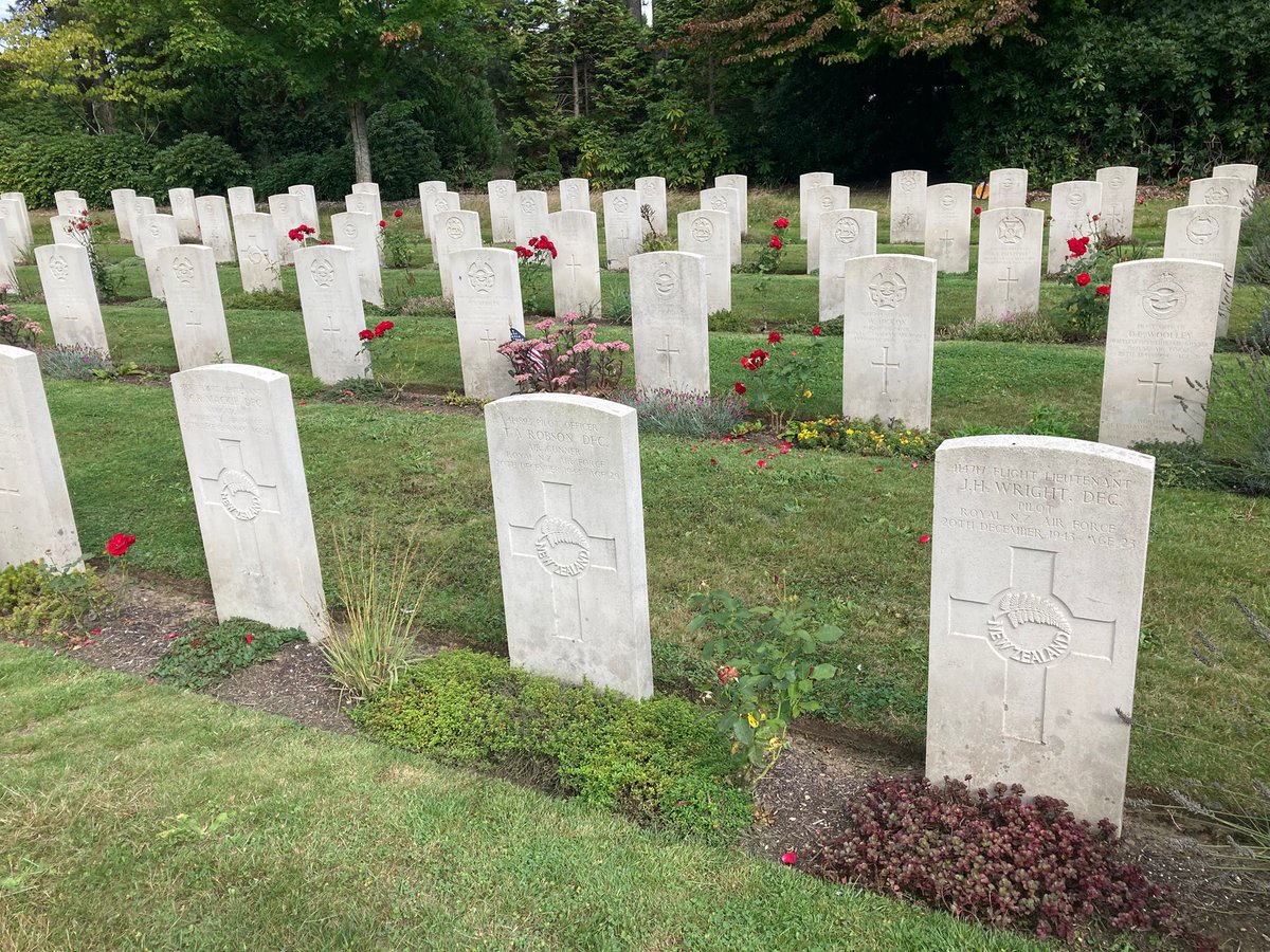 NZ in Belgium tweet media