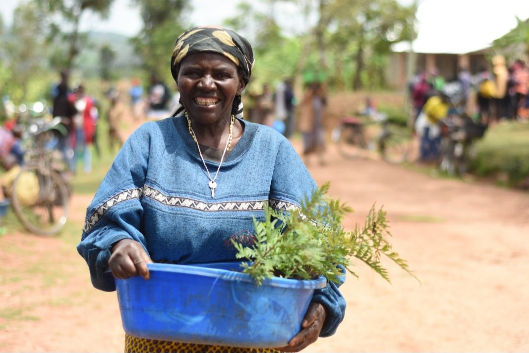 AquaTreeProject's tweet image. The true meaning of life is to plant #trees, under whose shade you do not expect to sit&quot;
When you plant a tree, you plant a hope for he that plants a tree has not lived in vain.
Just plant a #tree today
##AquaTreeProject