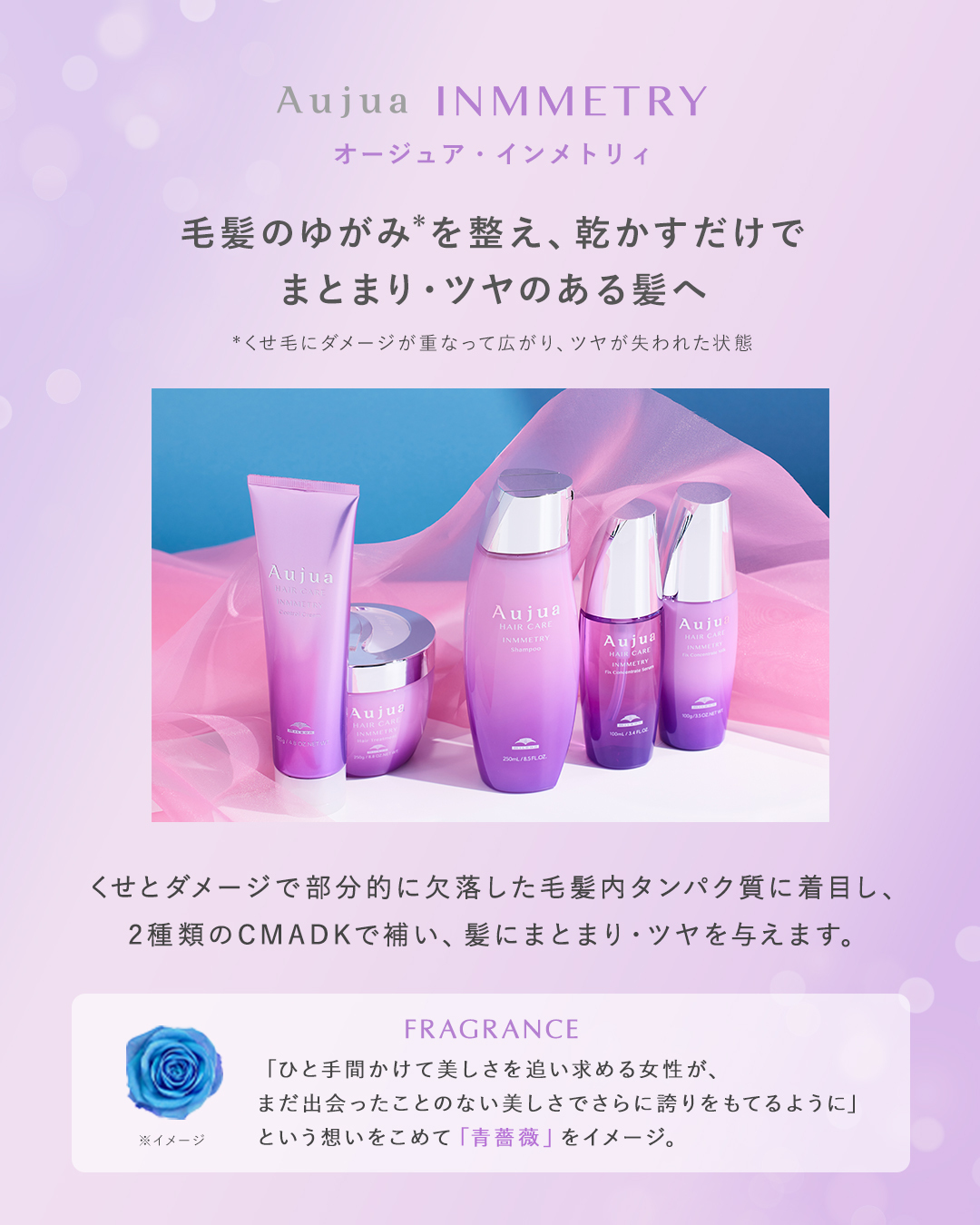 オージュア　リペアリティ　セット　　本日限定 Aujua リペアリティー100ml2本セット オージュア リペアリティ