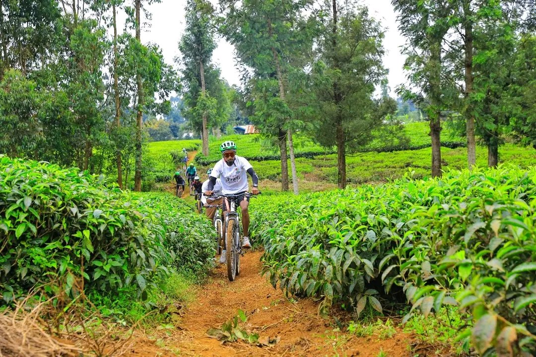 ExcitingClassic's tweet photo. Day Two of discovering Mt. Kenya’s hidden adventures — from forest hikes to thrilling water sports and scenic cycling trails. Truly, Kenya is the ultimate adventure playground where every path leads to discovery.#Magicalkenya #TeamKenya #trailseries https://t.co/yCWCpaMm0Y