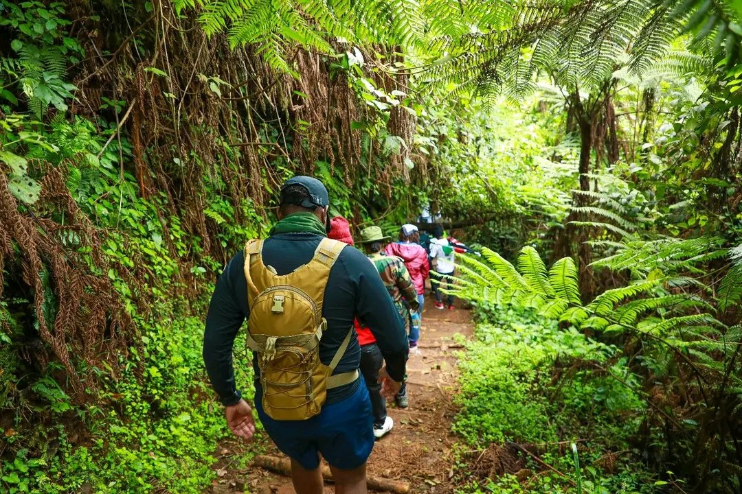 ExcitingClassic's tweet photo. Day Two of discovering Mt. Kenya’s hidden adventures — from forest hikes to thrilling water sports and scenic cycling trails. Truly, Kenya is the ultimate adventure playground where every path leads to discovery.#Magicalkenya #TeamKenya #trailseries https://t.co/yCWCpaMm0Y