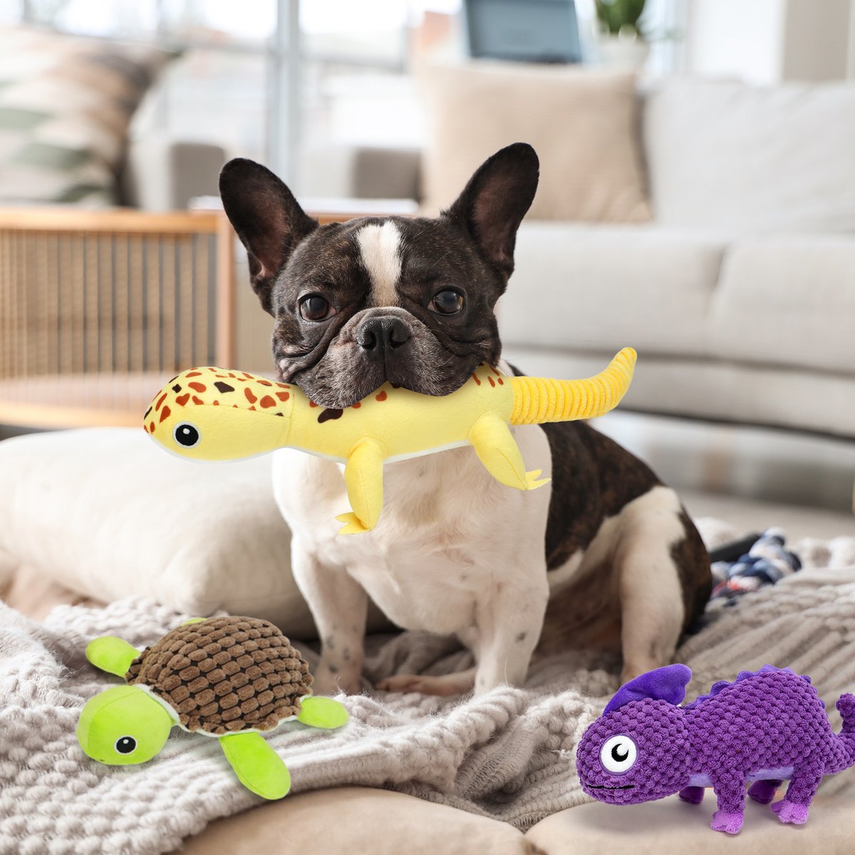 LotFancy's tweet photo. Your doggies will enjoy the company of these squeaky reptile friends!🤗 Adorable and unique designs by Prime Pets. Unlimited fun for dogs🐶🐾
Don't miss out the coupon!❤️
https://t.co/pjGUqjP4kC

#plushtoys #DogLovers #puppylove #amazonfinds #dogtoys #puppylife #doglove https://t.co/HhWzzw5D0l