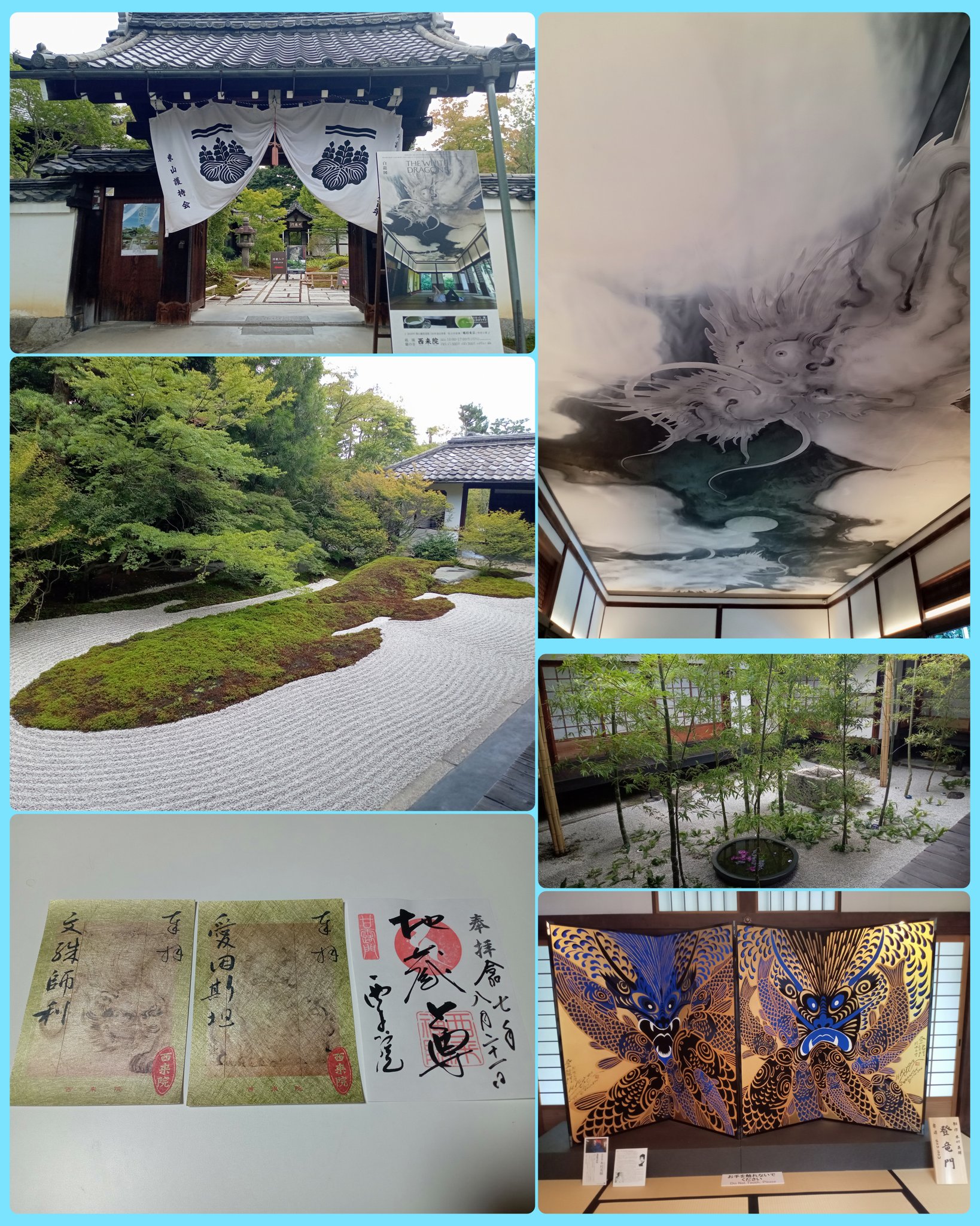 白竜図 建仁寺塔頭寺院・西来院 ①天井画「白龍図」 ②庭園 九華青蓮