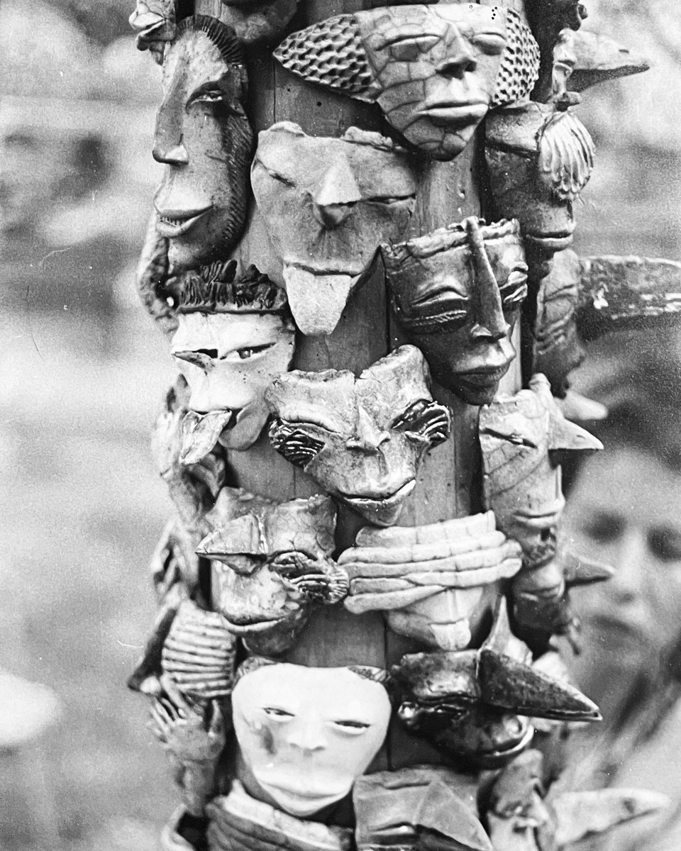 Camille Noé Marcoux tweet media