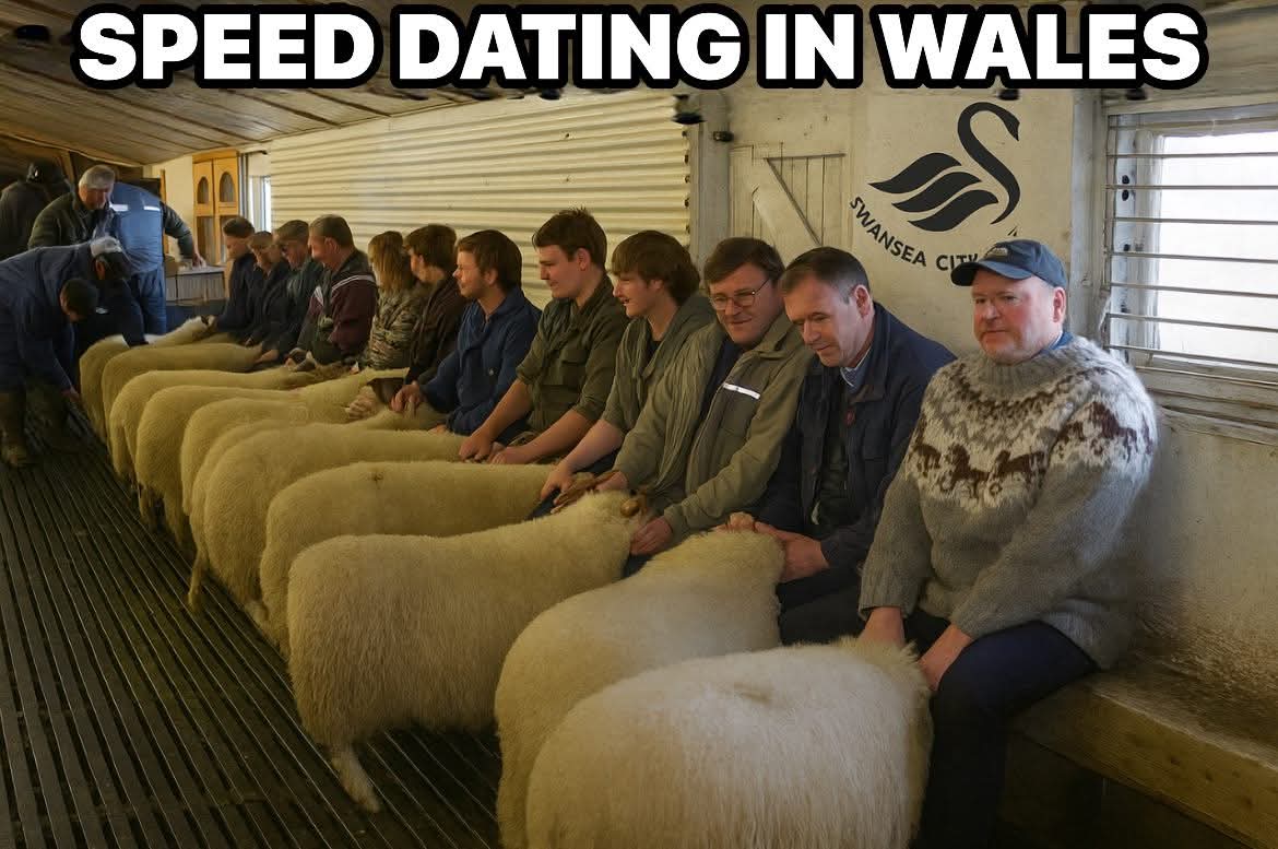 what's that song again...?

"Ewe (you) belong to me..."