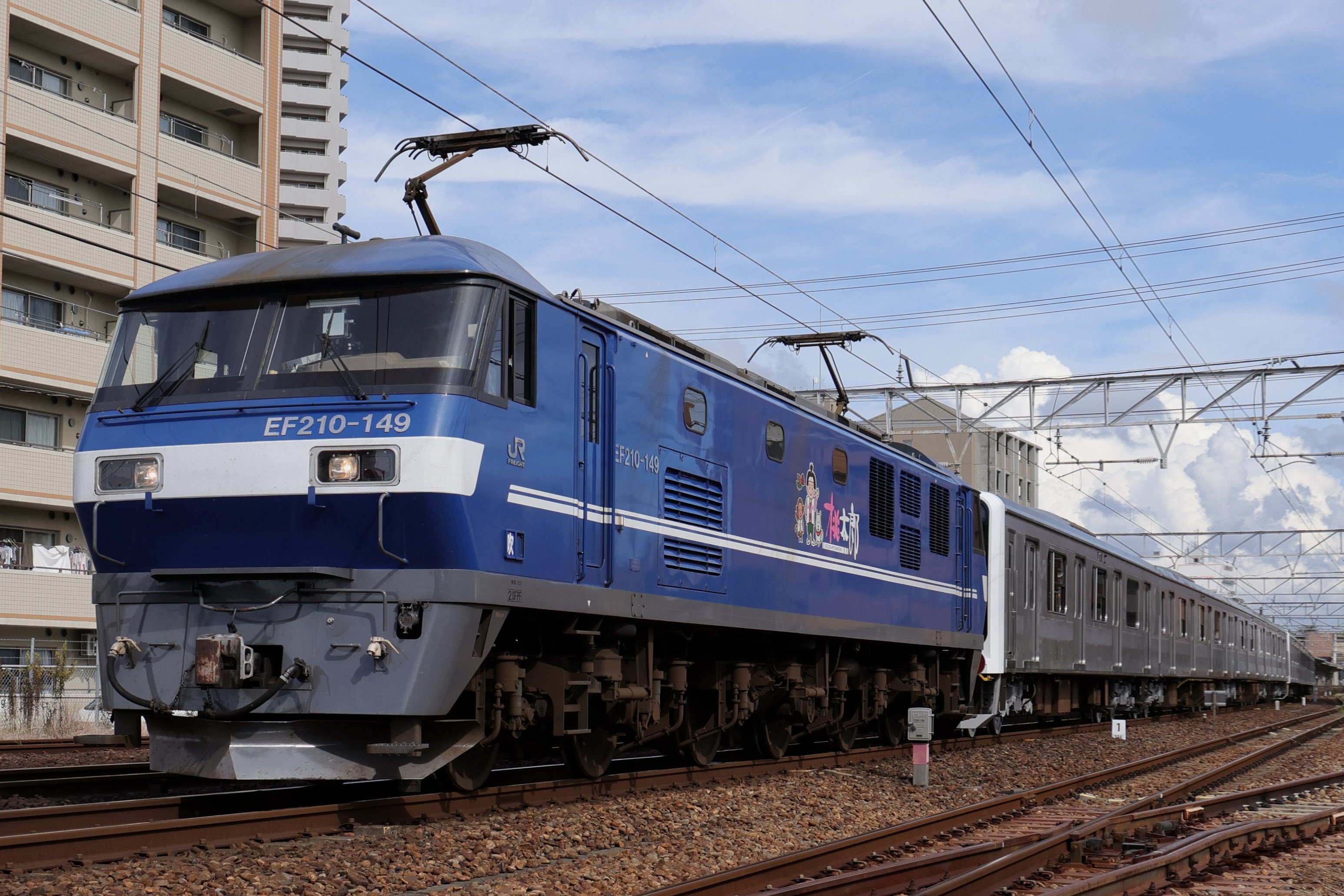 エメラルーダ プロモ エメラルーダ プロモ」の激安通販 | magi