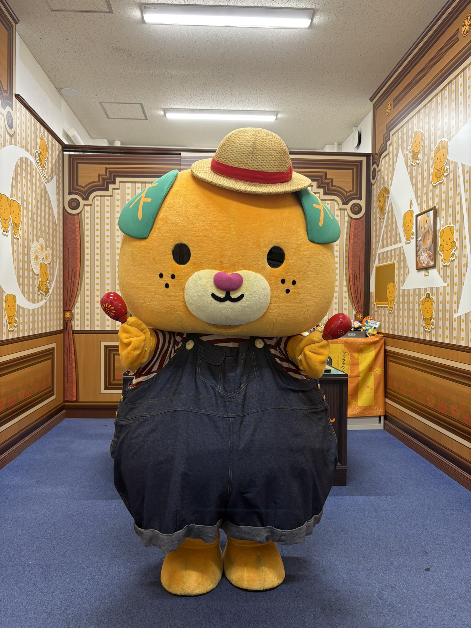 みきゃん様 みきゃん【公式】《愛媛県イメージアップキャラクター