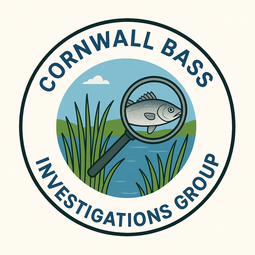 Cornwall Bass Investigations Group
"a group of volunteer citizen scientists who conduct juvenile bass surveys"
…allbassinvestigationsgroup.weebly.com