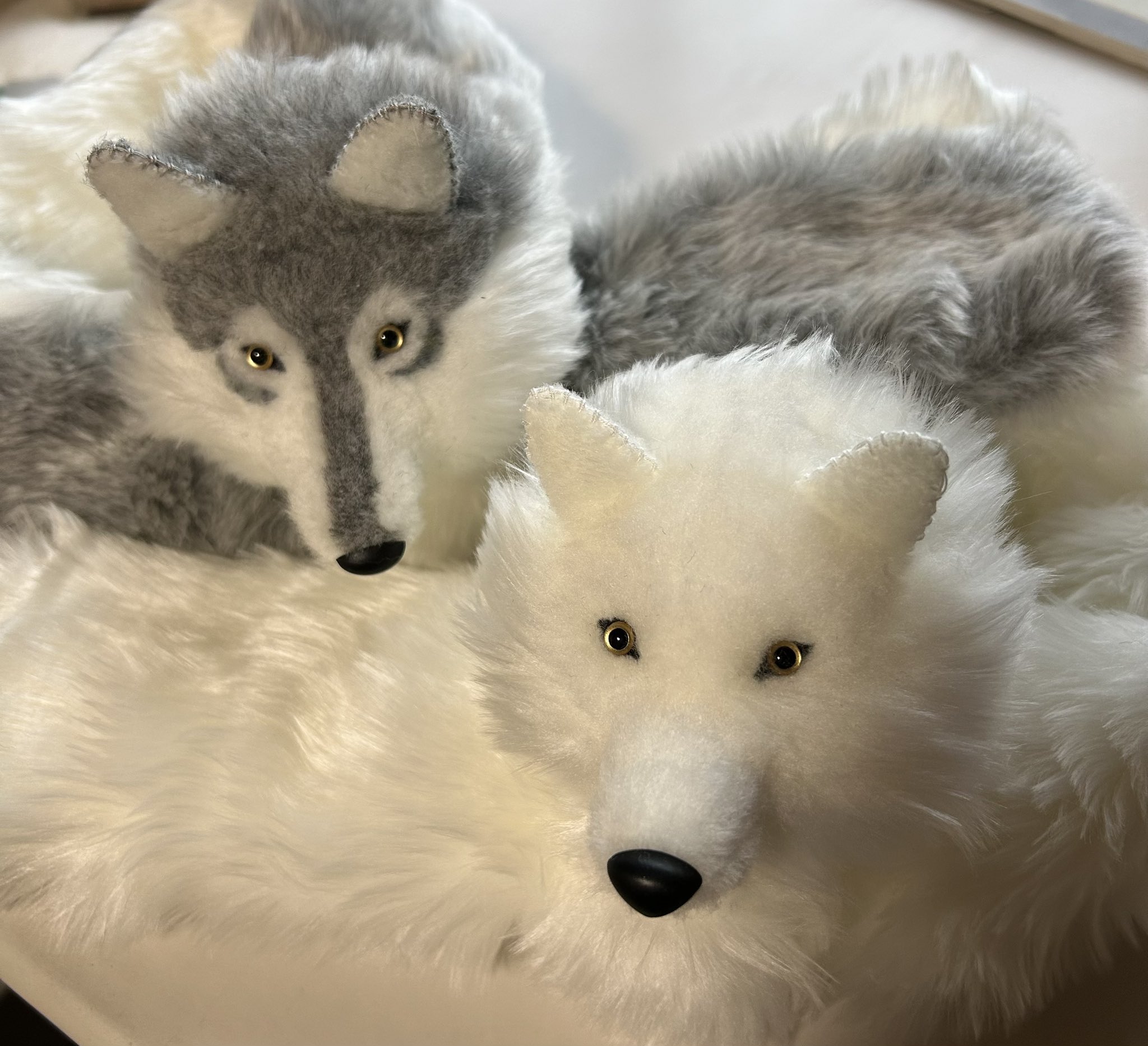 wolfish / 漆 on X: 