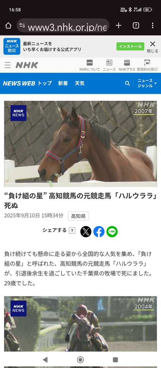これが実際の亡くなった競馬のグラスワンダーとハルウララです…#グラスワンダー#ハルウララ