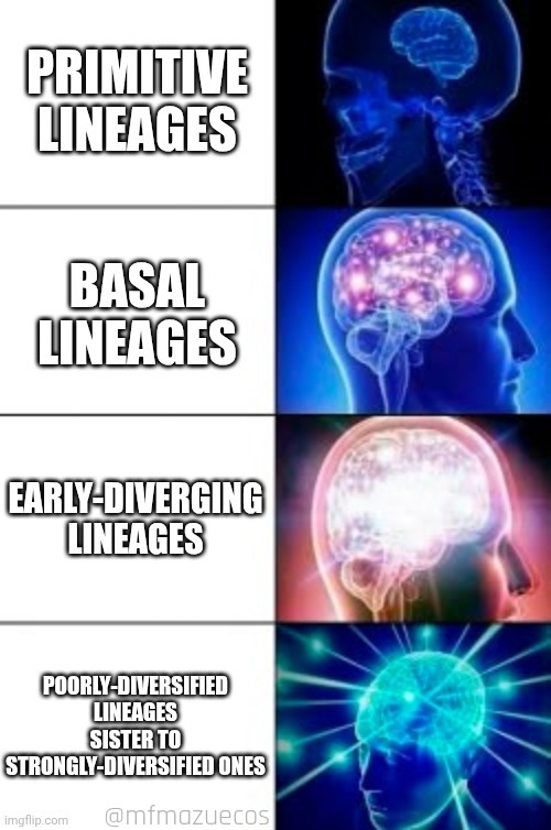 mfmazuecos's tweet image. A meme for #phylogenetics people.