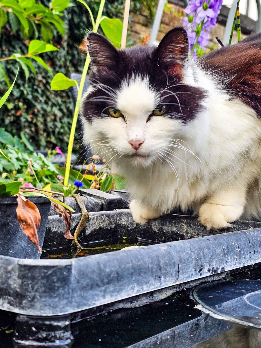 Billie & Charlie tweet media