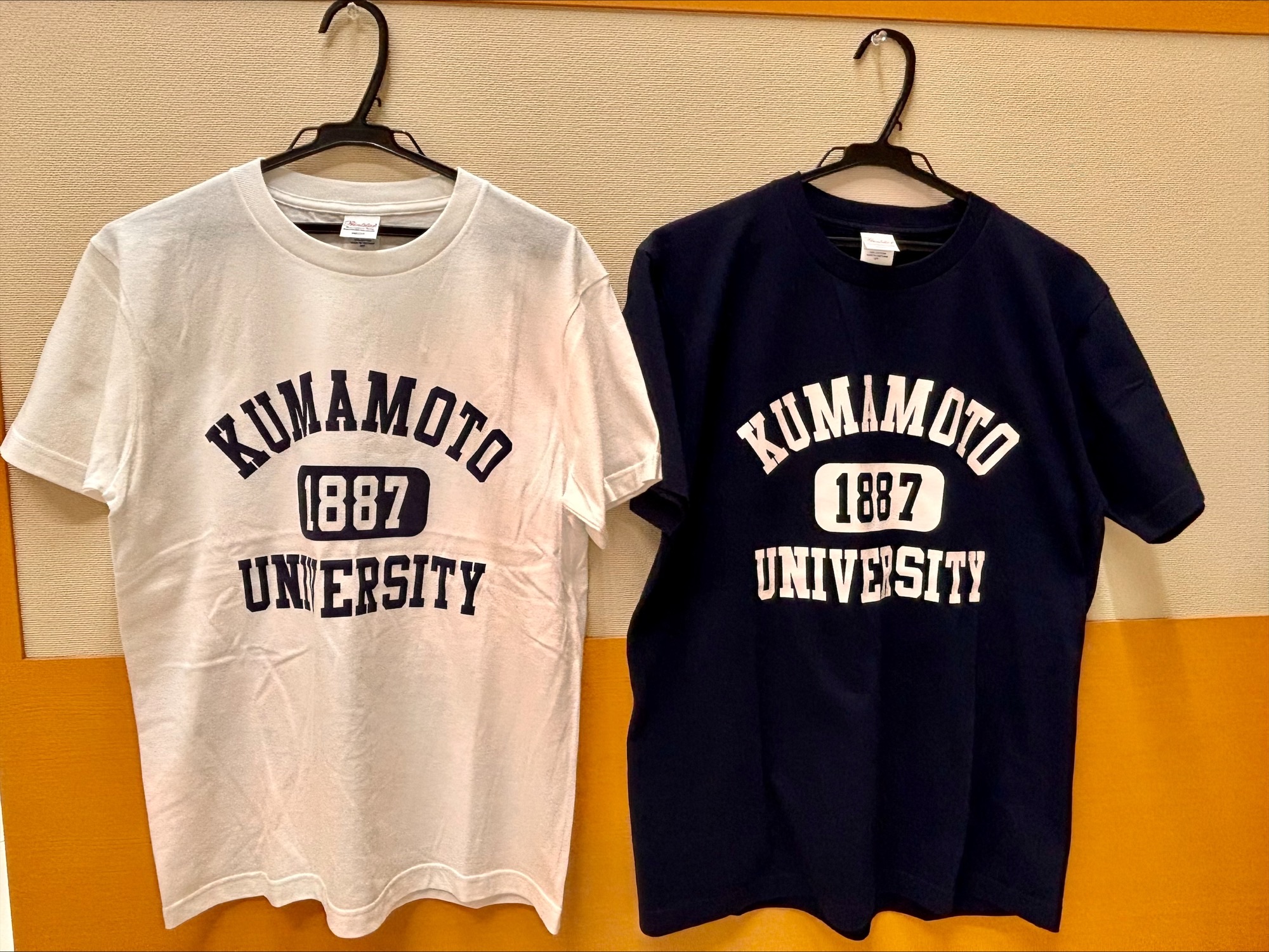 熊本大学 Kumamoto University on X: 