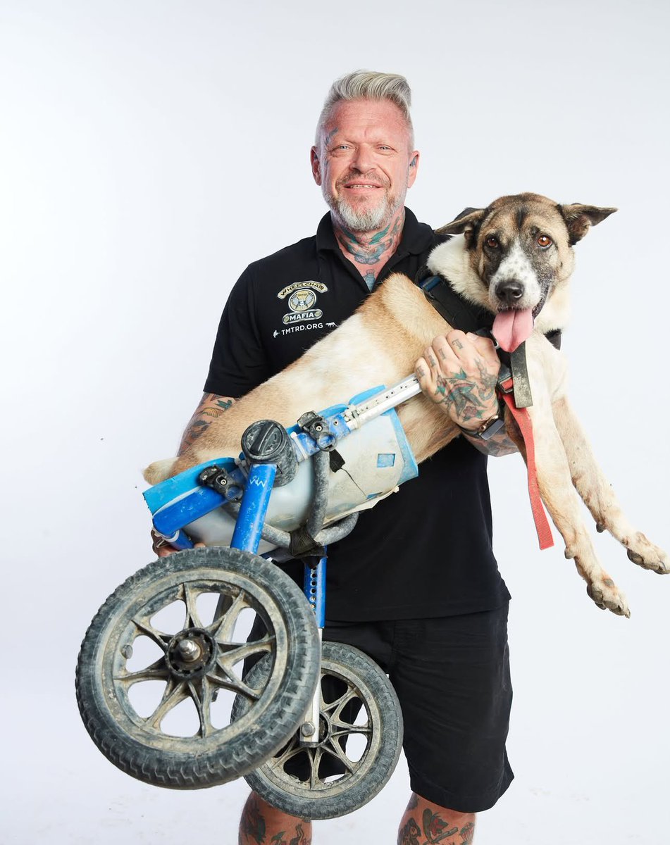 🧡 #SOLANA #FUNDRAISING 🧡

Every contribution makes a direct impact on the lives of the 1,200 dogs in our care. If you are looking for a meaningful way to give, here are just a few examples of what your support can do for only 1 $Solana 

🧡 22 Vaccinations

🧡 330 kilos of rice