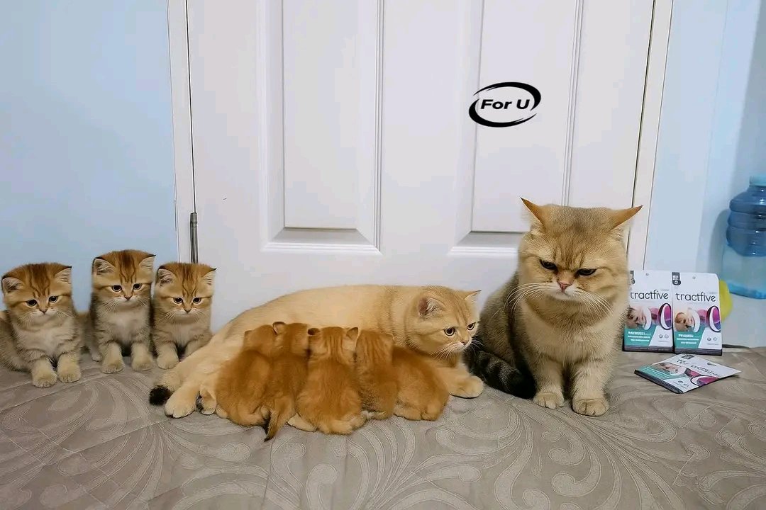 يا عم فكها وروَّق كدة ، ربنا هيرزقك برزقهم😂😂