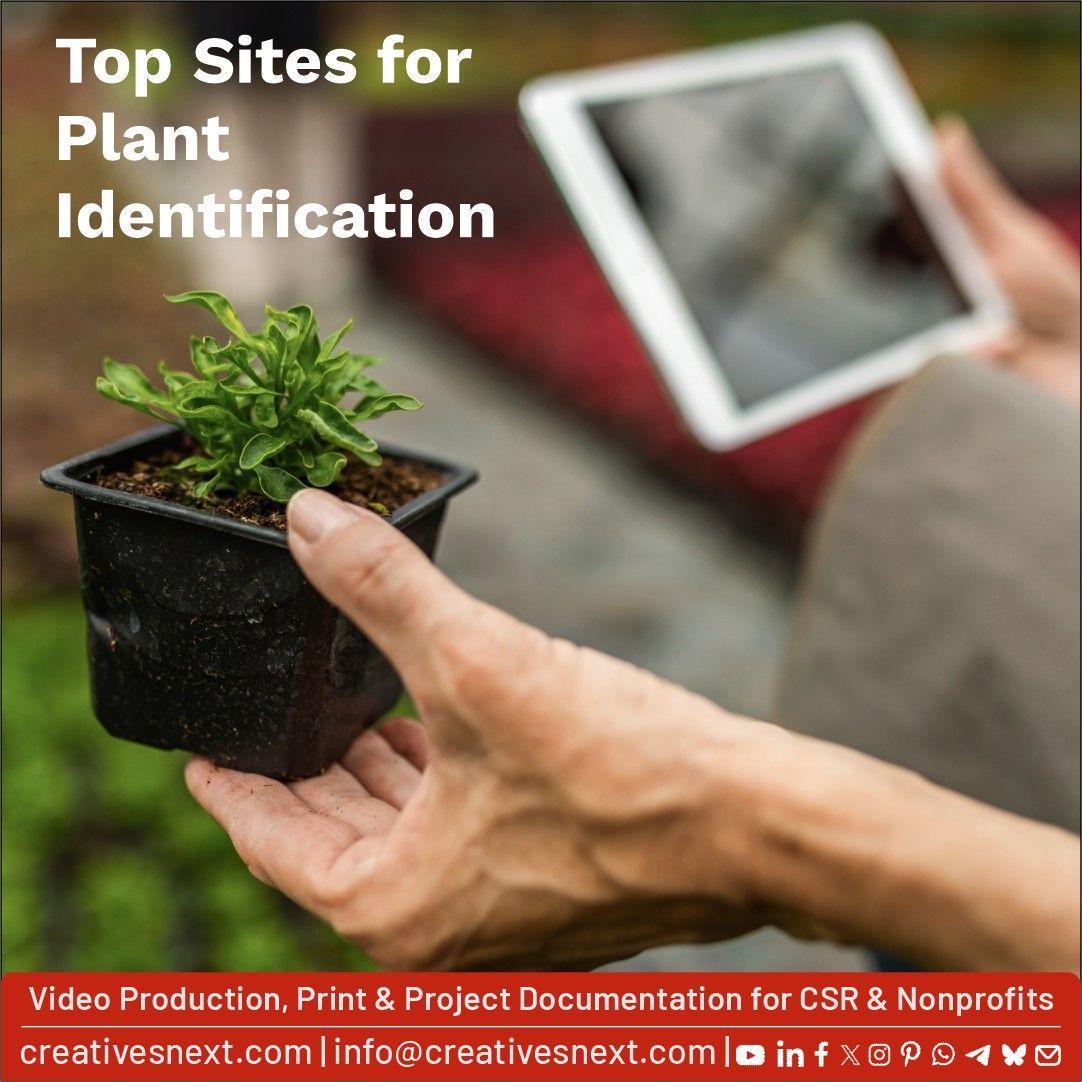 creativesnext's tweet image. Useful sites for identifying plants:
justhouseplants.com/identification/ 
identify.plantnet.org/the-plant-list… 
plant.toolpie.com 
whatistheplant.com 
plant.id 
images.google.com 
#documenatryfilms #projectdocumentation #CSR #nonprofits #graphicdesign #print