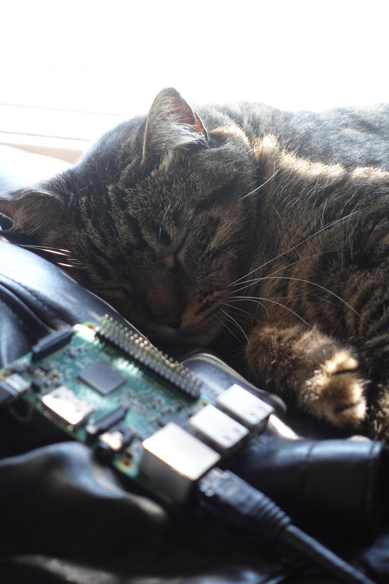 Alex Lynd tweet media