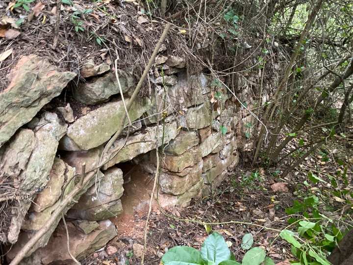 Bon dia amb #patrimonideldia! De construccions en pedra seca en podem trobar moltes: barraques, marges... Els cocons són cavitats, tipus armari, arran de terra en una paret de pedra seca. Avui el Cocó de la Boïga de #Rellinars: patrimonicultural.diba.cat/element/coco-d… <a href="/AjRellinars/">AjRellinars</a> <a href="/CulturaDIBA/">Cultura Diputació Barcelona</a>