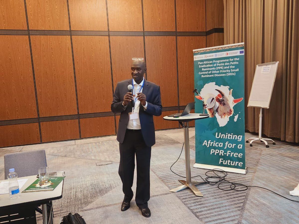 In #Nairobi, AU-IBAR with partners leads a 3-day workshop to validate M&amp;E tools and a communications strategy for #PPR eradication.

✅ Stronger monitoring
✅ Clearer communication
✅ Collective action

Thanks to #EuropeanUnion for their support 

 #PPRFreeAfrica 🐐🌍#Agenda2063
