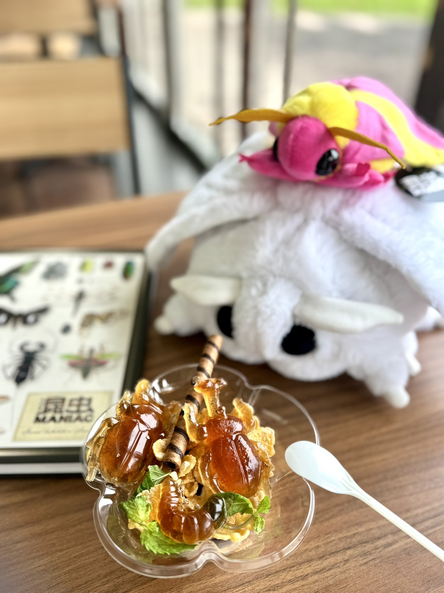 昆虫 MANIAC おおきなロージーメープルモス モモイロヤママユ ぬいぐるみ Amazon.co.jp: 昆虫 MANIAC ロージーメープルモス モモイロ