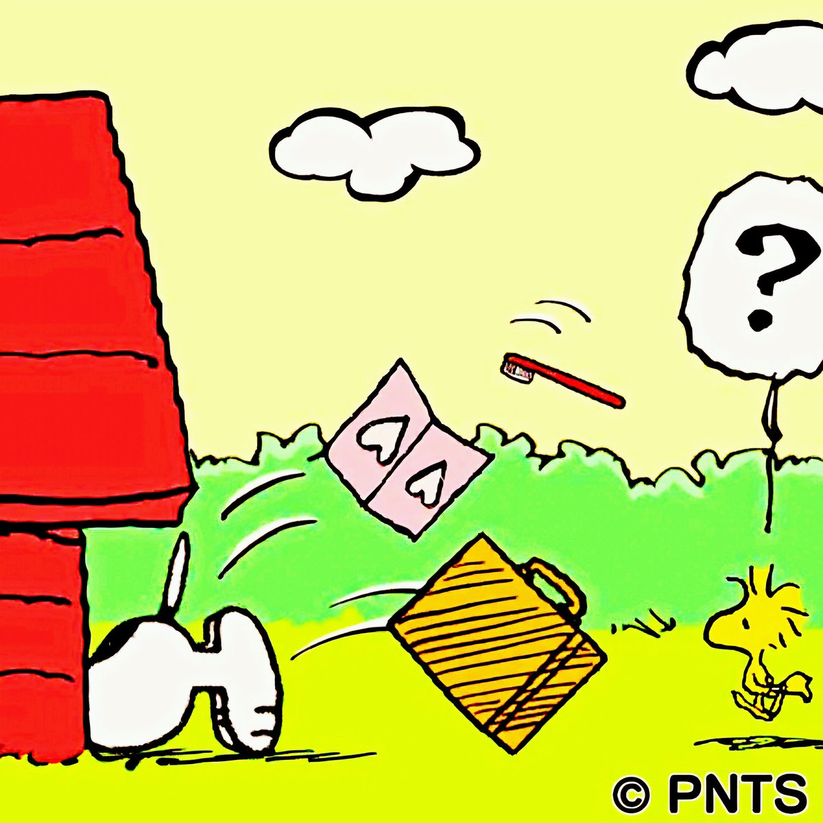 Moin Bubble 🫧💕☕🙋🏻‍♀️
Endlich isses wieder soweit und ich bin wieder in der Lage, alleine zu reisen. 🚄🧳
Sollte ich nicht ankommen, findet ihr mich im Bermuda Dreieck 😉