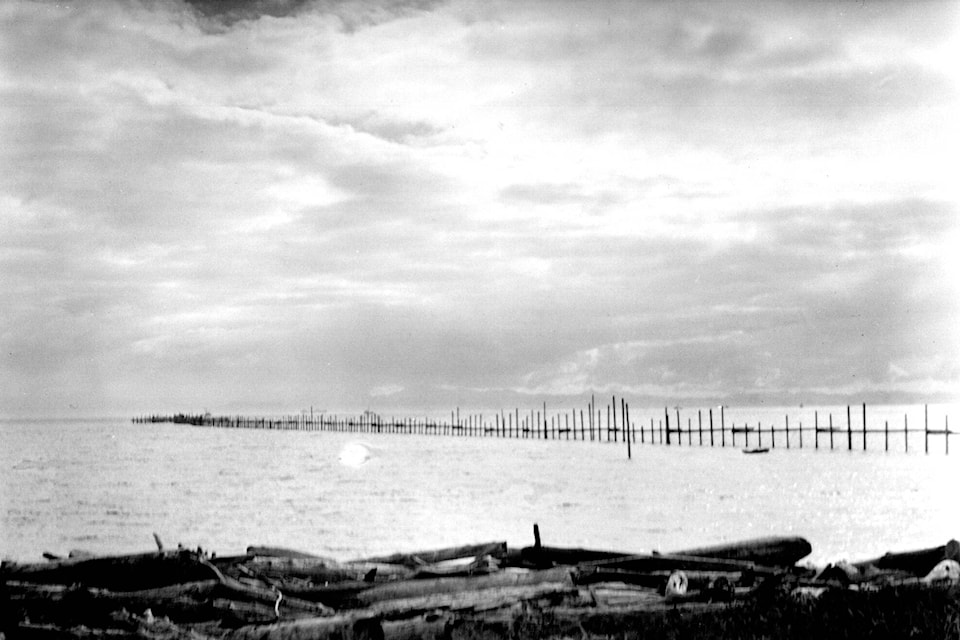 Stonefishweirs's tweet photo. Picture of a #fishtrap called Gordon Trap in #Sooke, #VancouverIsland, #BritishColumbia, #Canada. Dating to the period 1904 and 1958, the trap was part areas #salmon fisheries. Over half a mile lomg with 100 wooden piles driven into the seabed. https://t.co/hgFpWclpfU