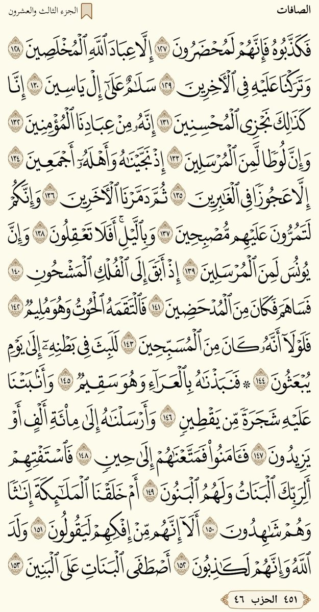 Shereef_Wagih79's tweet image. صباح الخير.....ورد الاربعاء