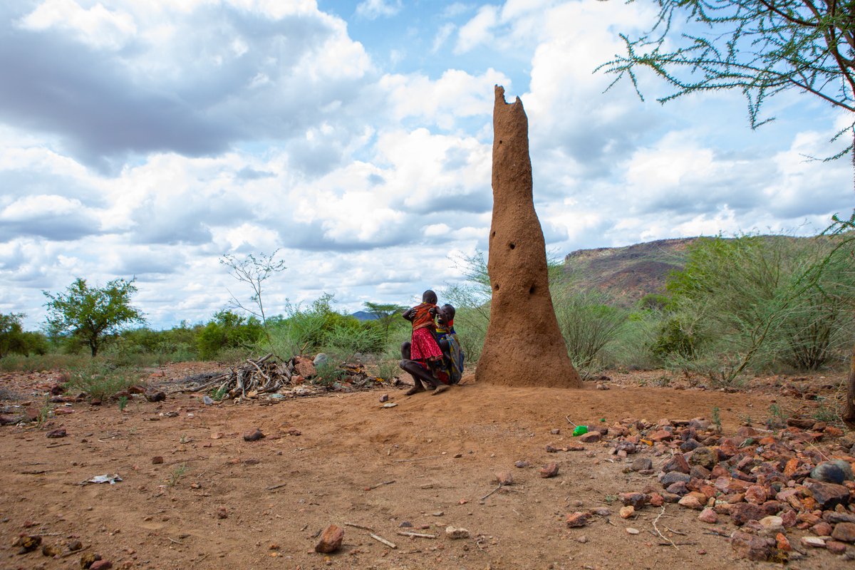 Kala-azar is silently devastating <a href="/TurkanaCountyKE/">County Government of Turkana</a>, causing suffering and disfiguring countless lives. Transmitted by sand flies, this deadly parasite destroys organs and causes relentless pain. Even with lifesaving drugs available, many go without the critical blood transfusions