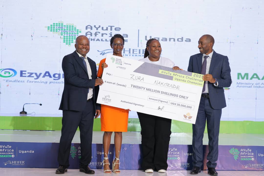 CURADOrg's tweet photo. Congratulations to our incubatee Ms. Zura Nakitende, 1st Runner-Up in the Agri-Business category! 👏

Her Hicu Mango Juice, produced at CURAD Agri Park Kapeeka, showcases her innovation and business acumen. A true milestone in agribusiness! 

#AYuTeUG25 #TechItThere #agribusiness https://t.co/qVl8VzsPmq
