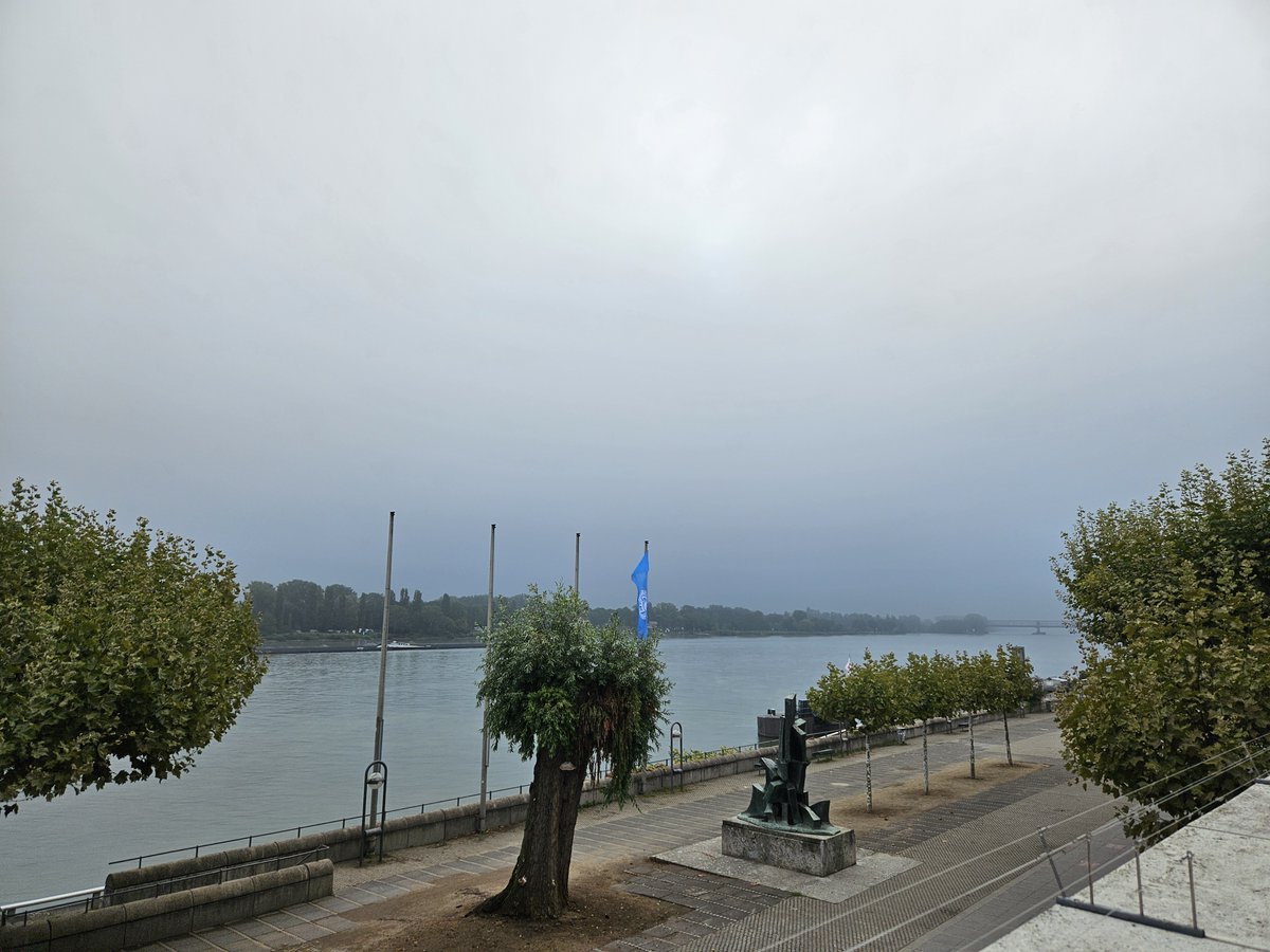 TheorHetCatICIQ's tweet image. In Mainz for #ISE2025 talk is tomorrow